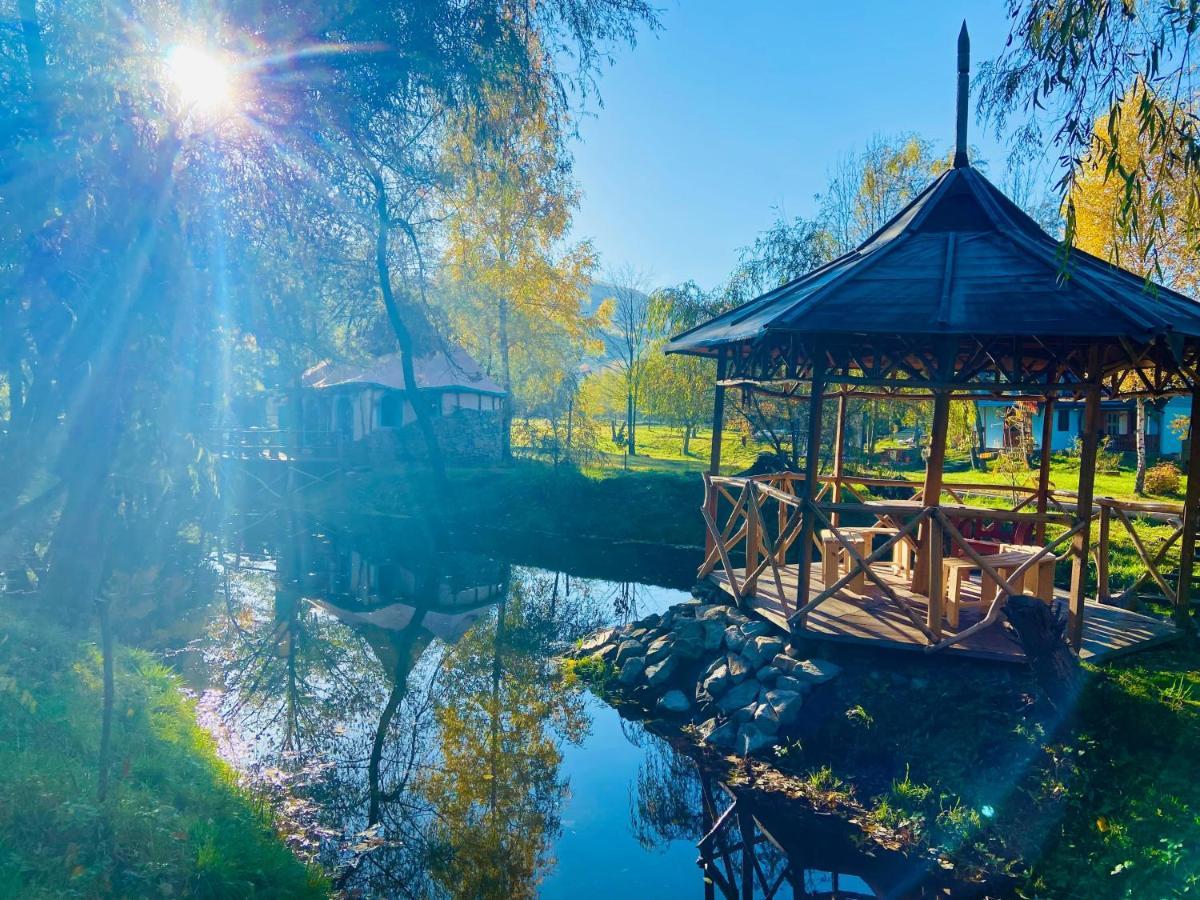 Viewtopia The Secret Land Valea Draganului Bagian luar foto